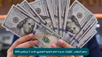 سعر الدولار.. تغيّرات جديدة أمام الجنيه المصري الأحد 7 سبتمبر 2025